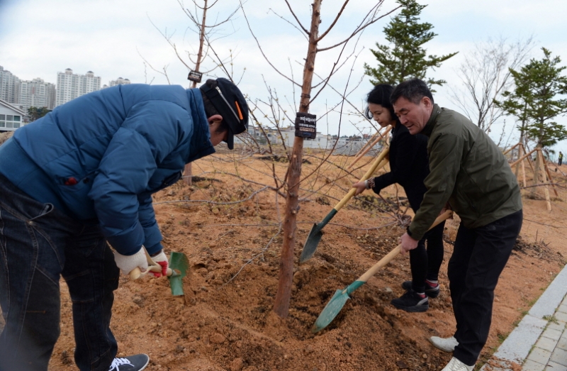 DSC_2489-식수1.jpg